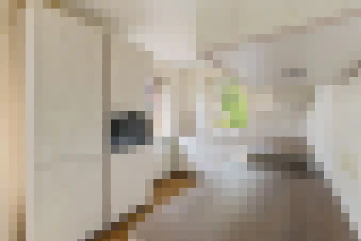 Engelakker 32 Warmenhuizen thumbnail 17