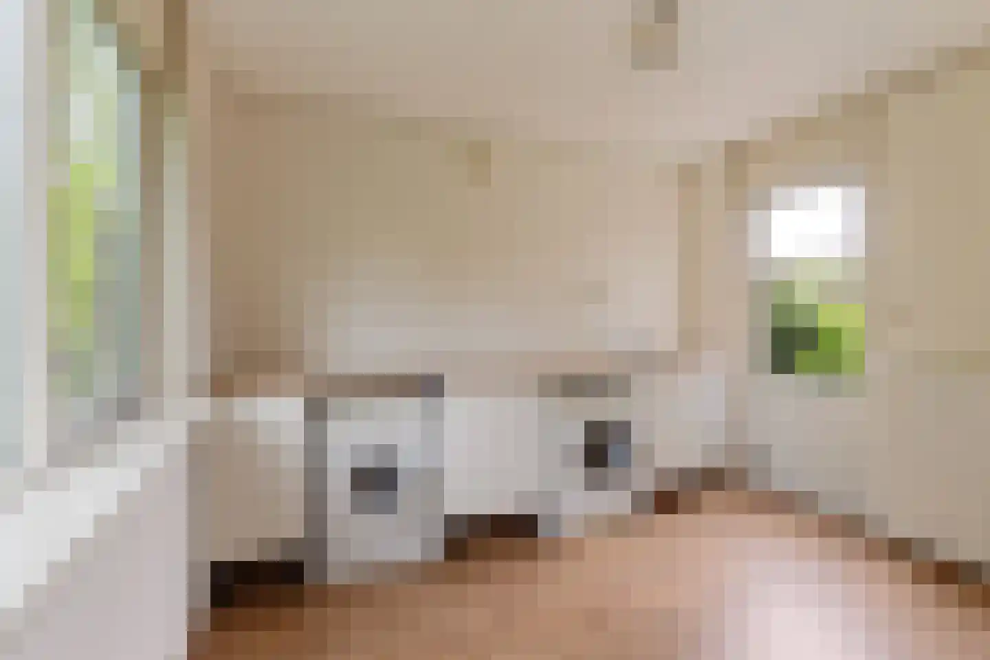 Engelakker 32 Warmenhuizen thumbnail 18