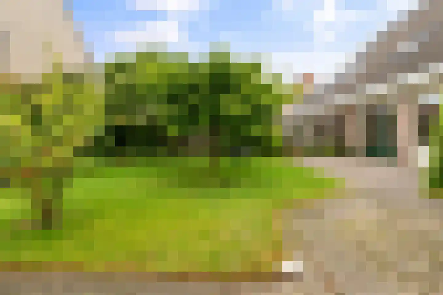 Engelakker 32 Warmenhuizen thumbnail 29