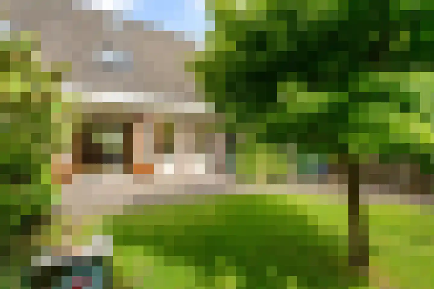 Engelakker 32 Warmenhuizen thumbnail 30