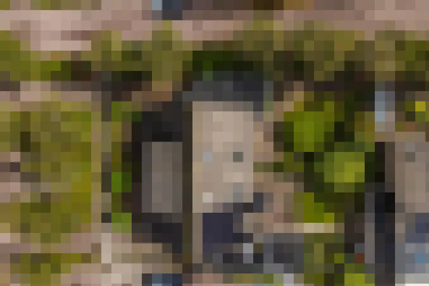 Engelakker 32 Warmenhuizen thumbnail 36