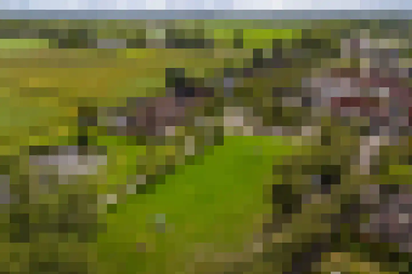 Engelakker 32 Warmenhuizen thumbnail 37