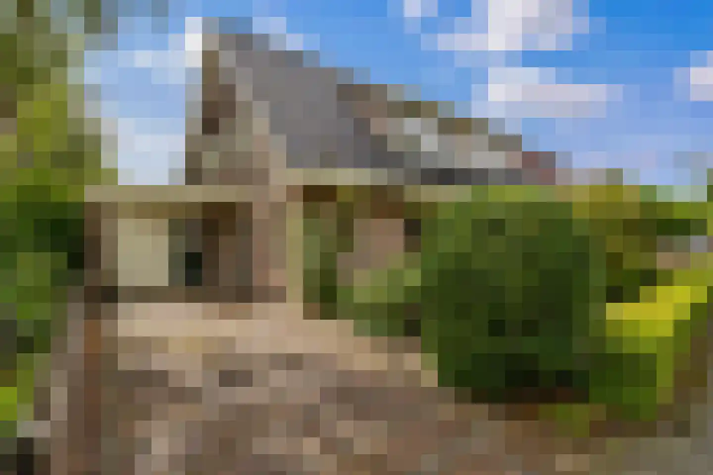 Engelakker 32 Warmenhuizen thumbnail 5