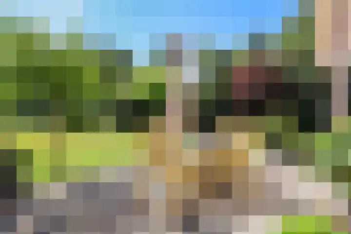 Engeland 33 Beekbergen thumbnail 21