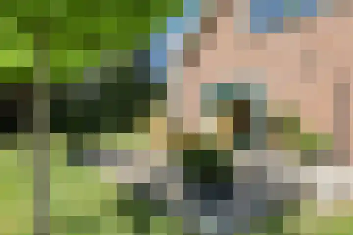 Engeland 33 Beekbergen thumbnail 22