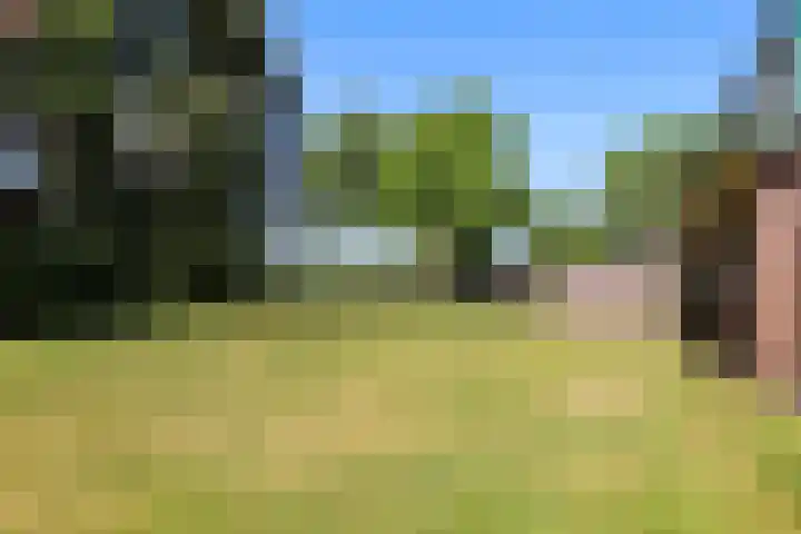 Engeland 33 Beekbergen thumbnail 24