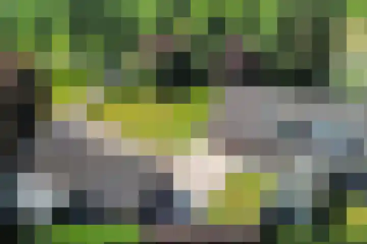 Engeland 33 Beekbergen thumbnail 35