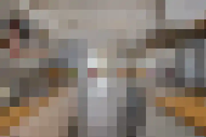 Engelandlaan 1022 Haarlem thumbnail 13