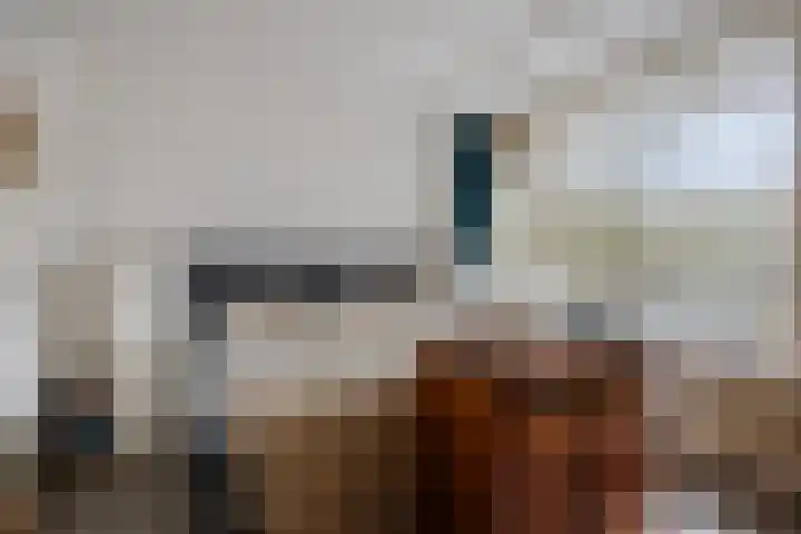 Engelandlaan 1022 Haarlem thumbnail 14