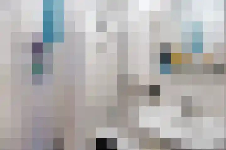 Engelandlaan 1022 Haarlem thumbnail 17