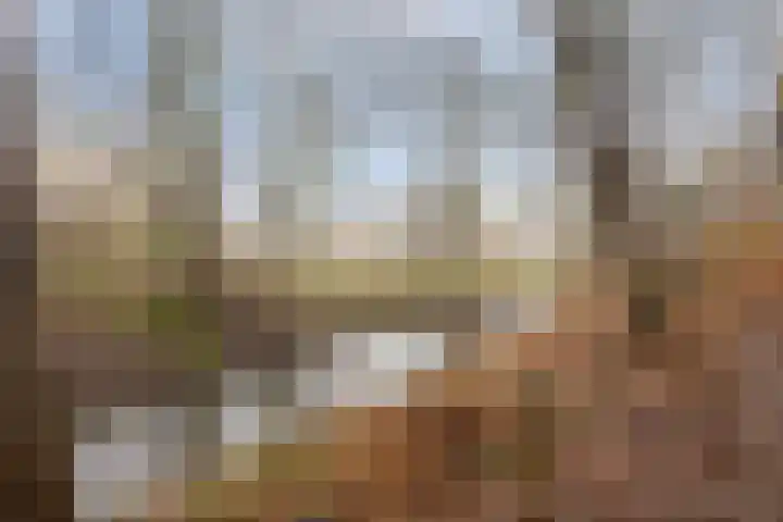 Engelandlaan 1022 Haarlem thumbnail 21
