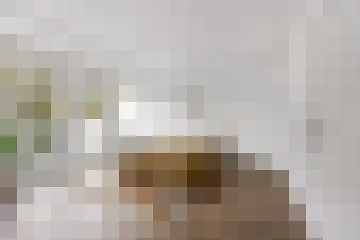 Engelandlaan 1040 Haarlem thumbnail 12