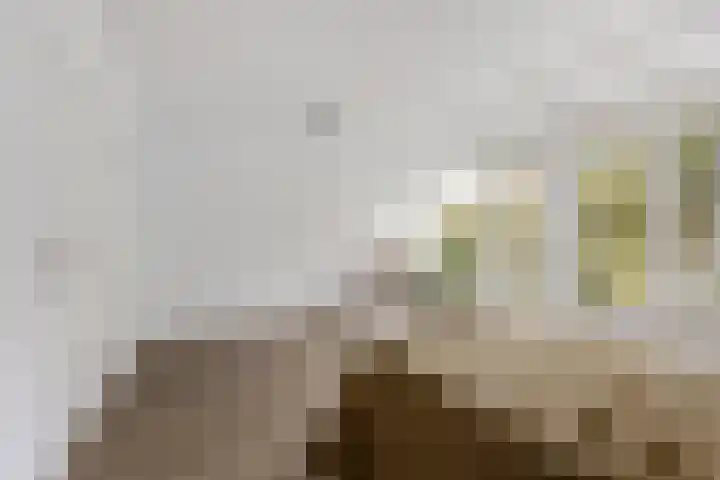 Engelandlaan 1040 Haarlem thumbnail 13