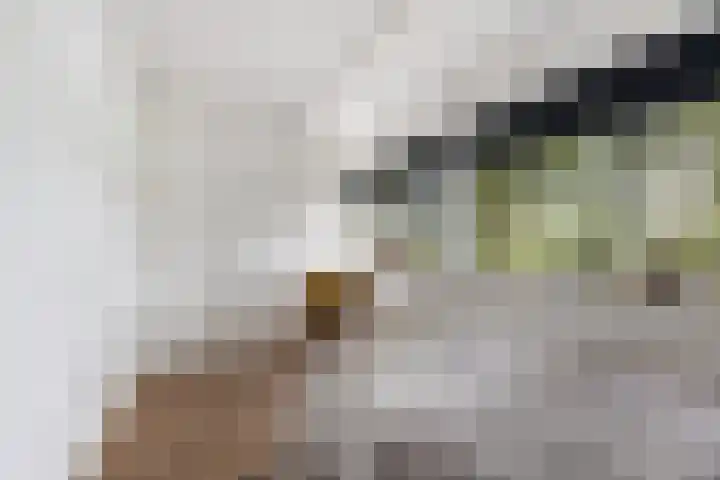 Engelandlaan 1040 Haarlem thumbnail 15