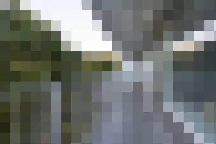 Engelandlaan 1040 Haarlem thumbnail 20