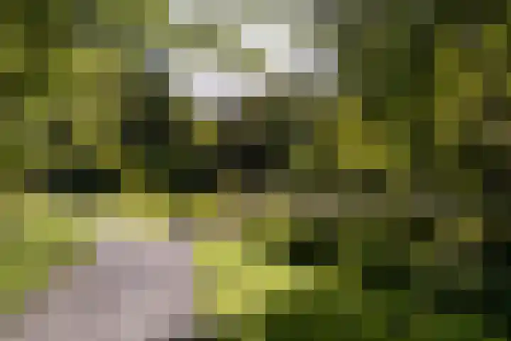 Engelandlaan 1040 Haarlem thumbnail 27