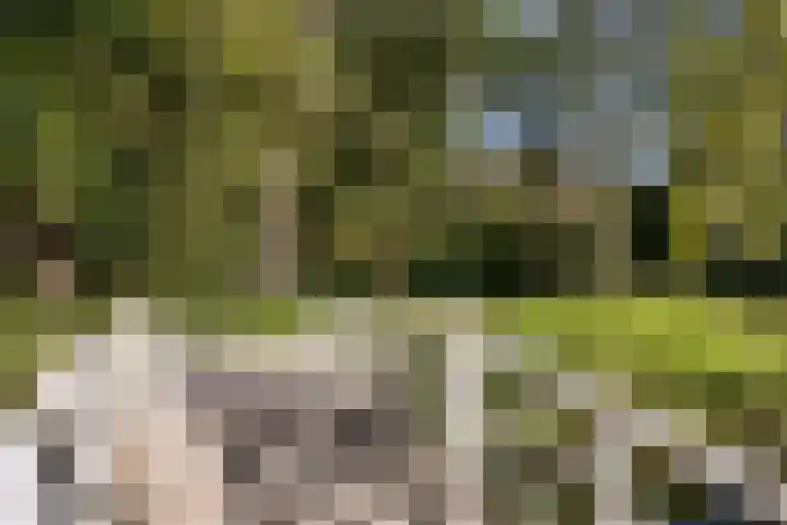 Engelandlaan 1040 Haarlem thumbnail 28