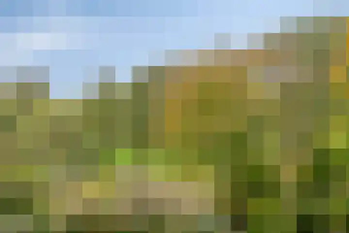 Engelandlaan 1042 Haarlem thumbnail 30