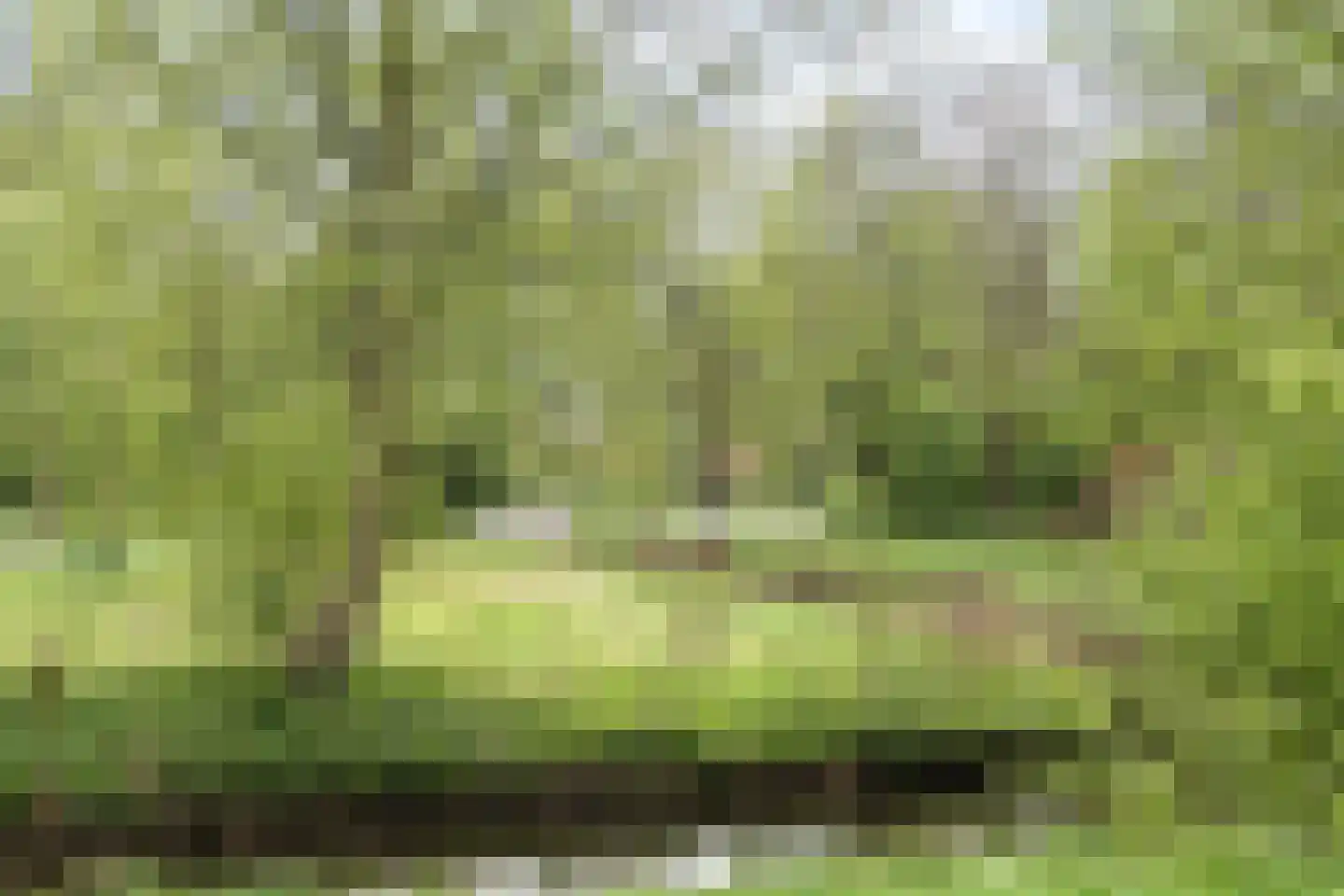 Engelandlaan 1158 Haarlem thumbnail 25