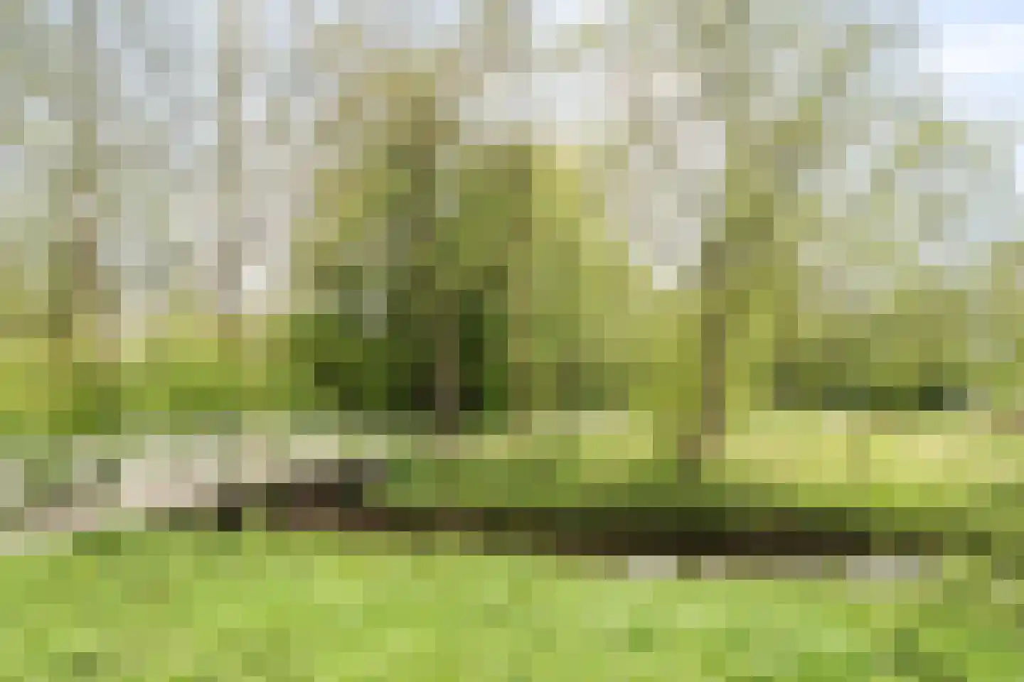 Engelandlaan 1158 Haarlem thumbnail 26