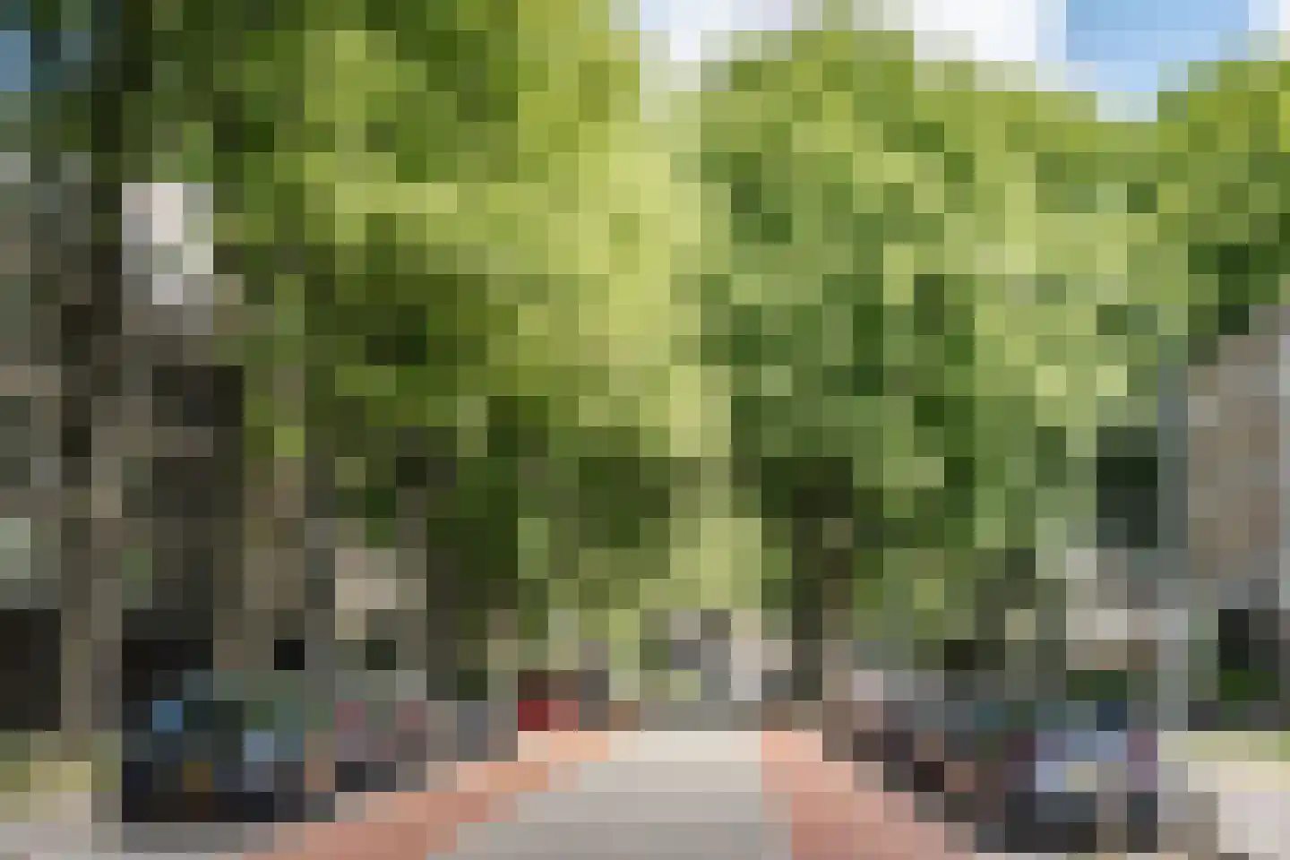 Engelandlaan 1158 Haarlem thumbnail 29