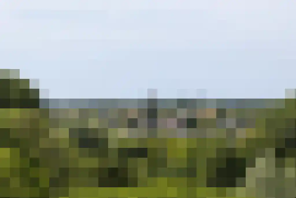 Engelandlaan 1206 Haarlem thumbnail 11