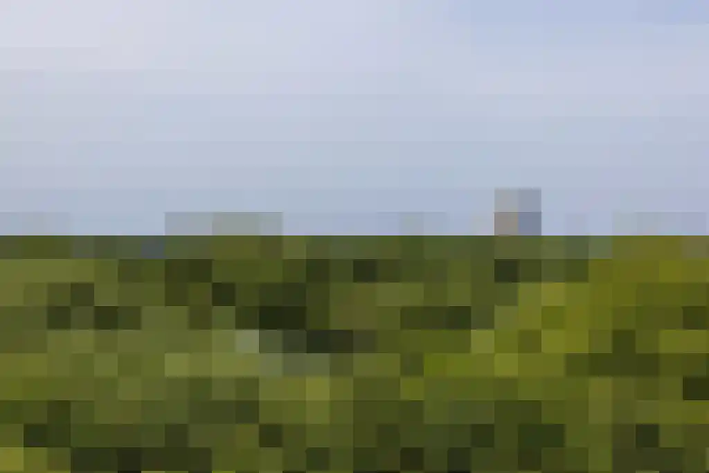 Engelandlaan 1206 Haarlem thumbnail 13