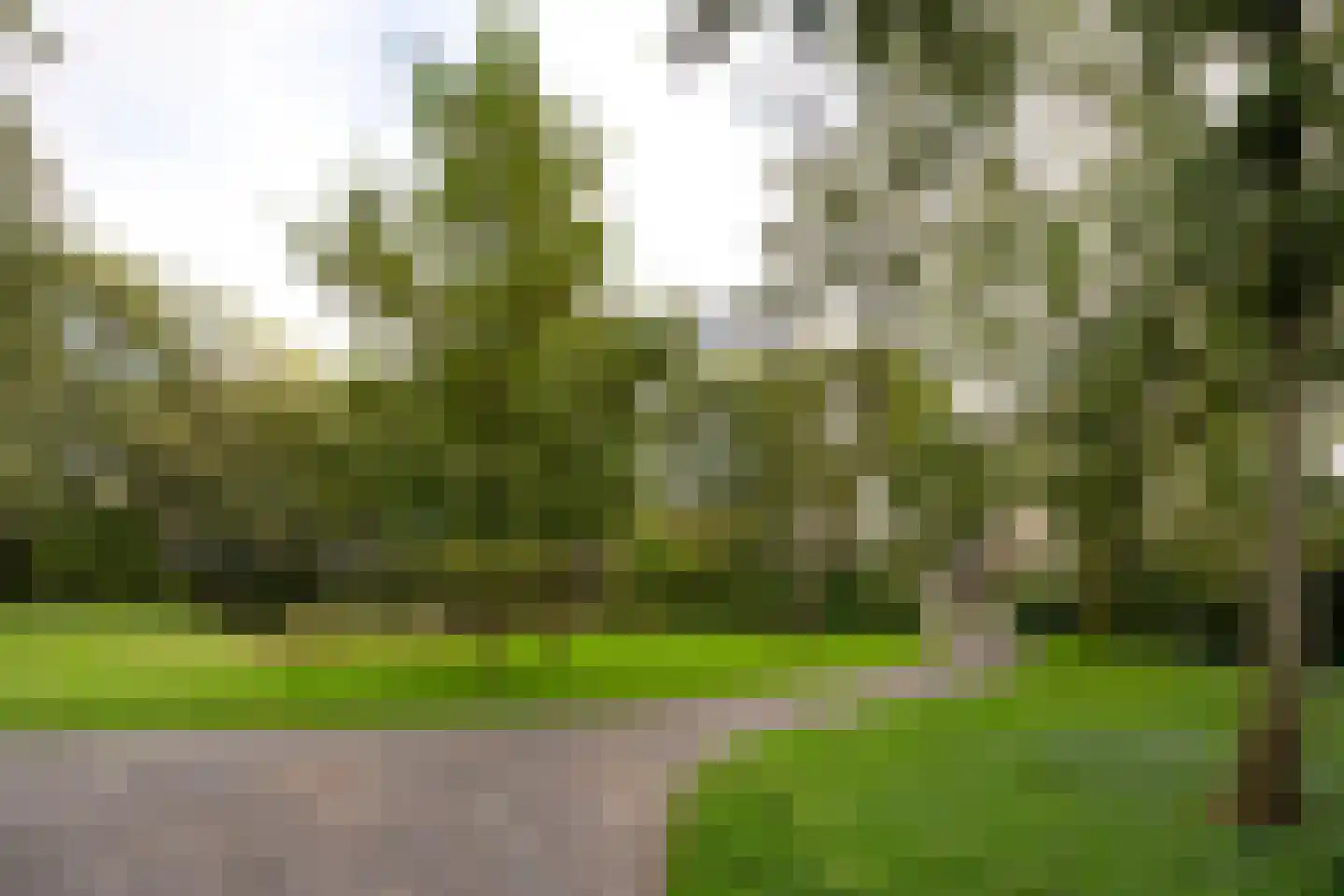 Engelandlaan 1206 Haarlem thumbnail 29