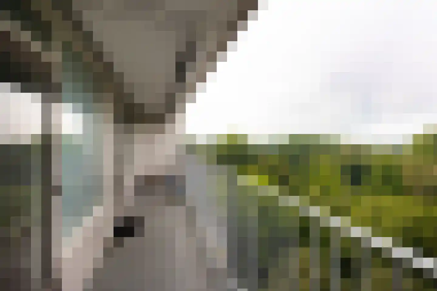 Engelandlaan 1206 Haarlem thumbnail 9