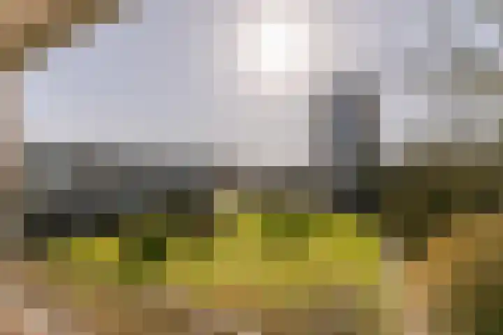 Engelandlaan 1224 Haarlem thumbnail 15