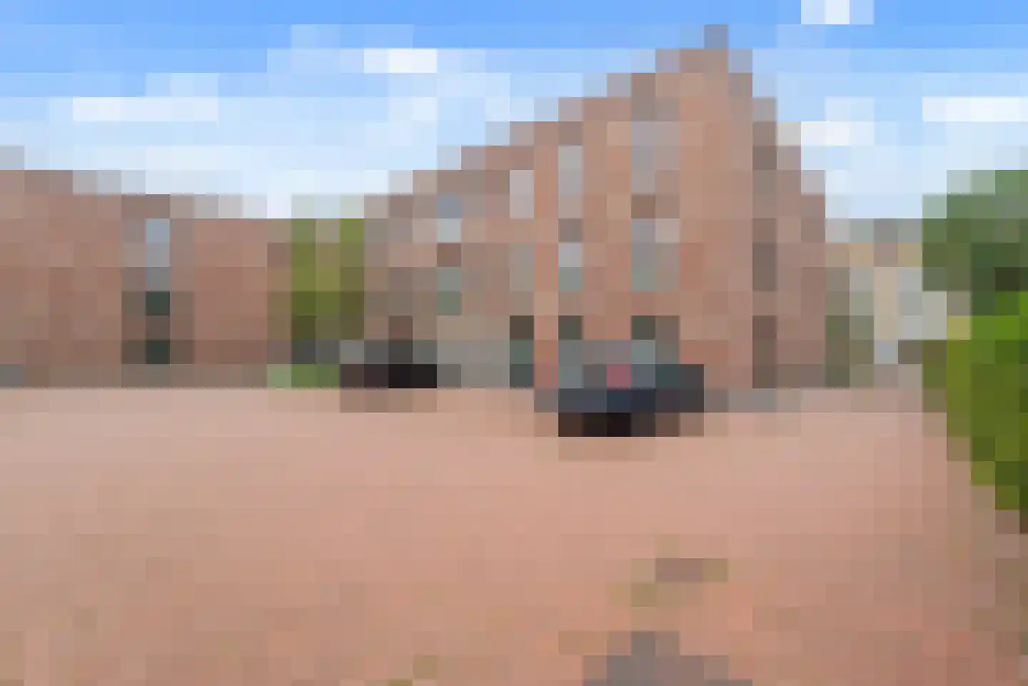 Engelandlaan 123 B Haarlem thumbnail 39