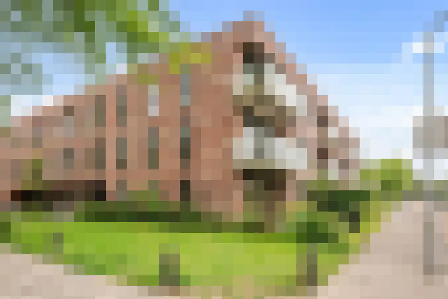 Engelandlaan 123 B Haarlem thumbnail 32