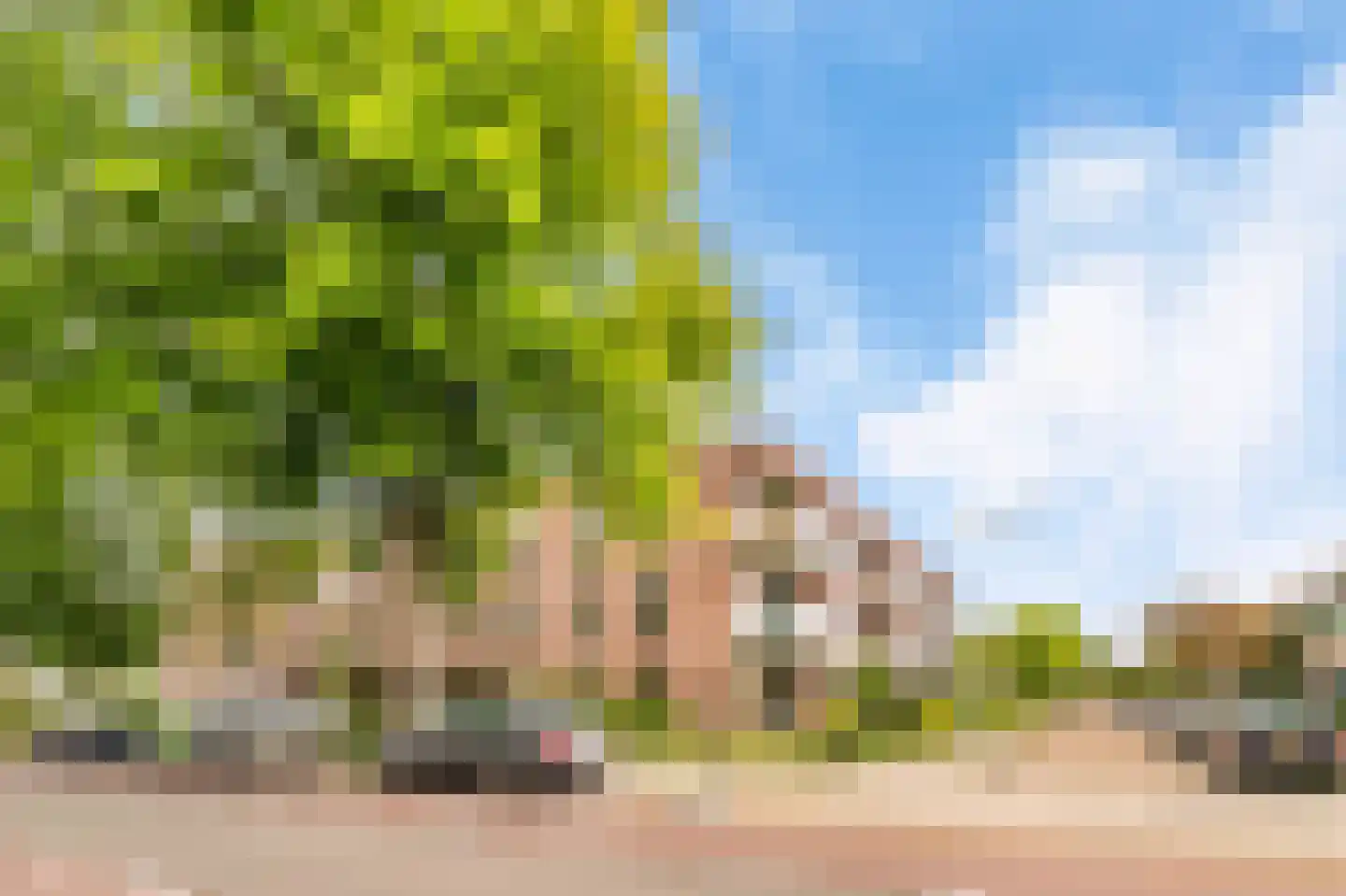 Engelandlaan 123 H Haarlem thumbnail 39