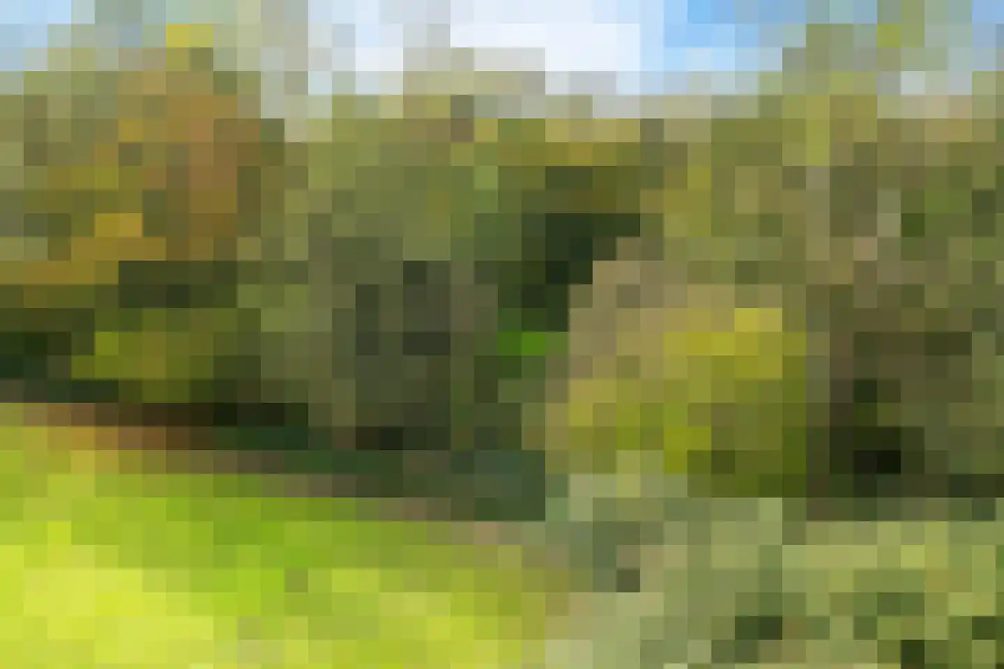 Engelandlaan 1236 Haarlem thumbnail 31