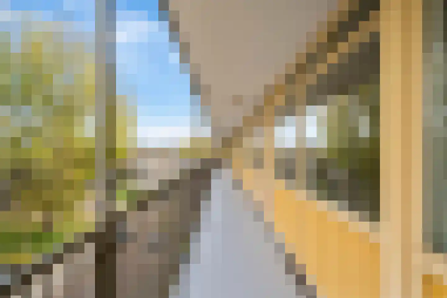 Engelandlaan 1236 Haarlem thumbnail 5