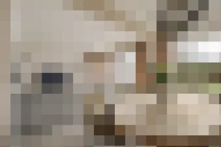 Engelandlaan 1248 Haarlem thumbnail 10