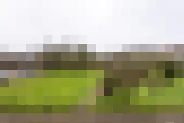 Engelandlaan 1248 Haarlem thumbnail 22