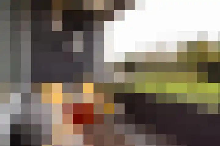 Engelandlaan 1248 Haarlem thumbnail 23