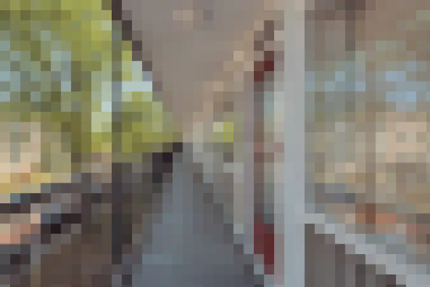 Engelandlaan 1254 Haarlem thumbnail 6