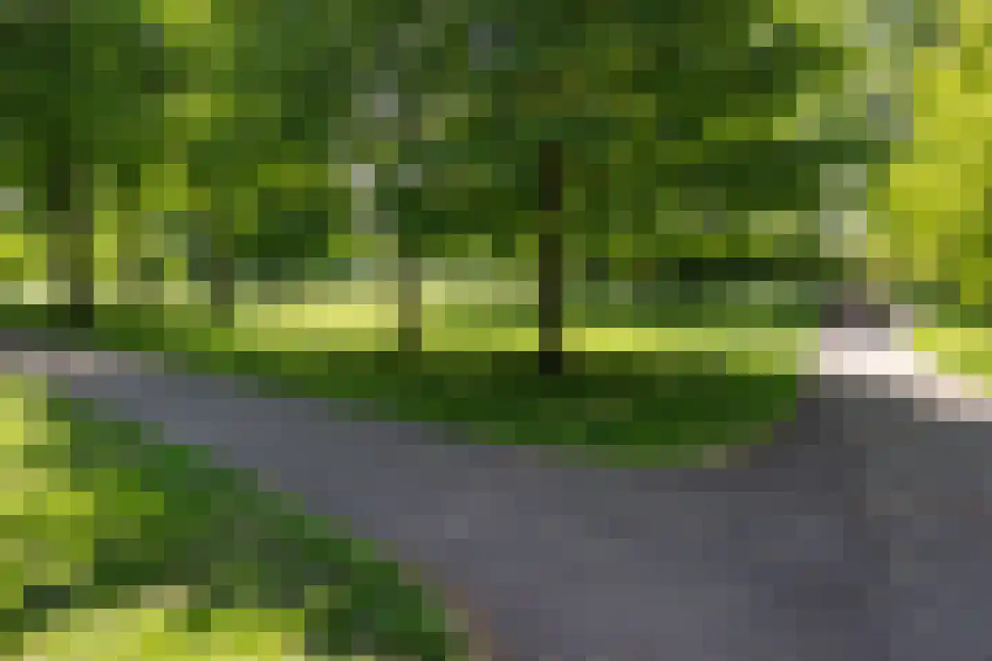 Engelandlaan 1258 Haarlem thumbnail 25