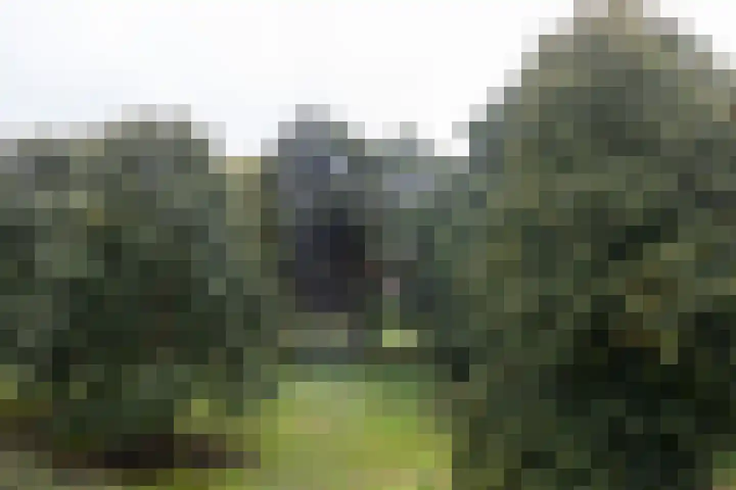 Engelandlaan 126 Haarlem thumbnail 21
