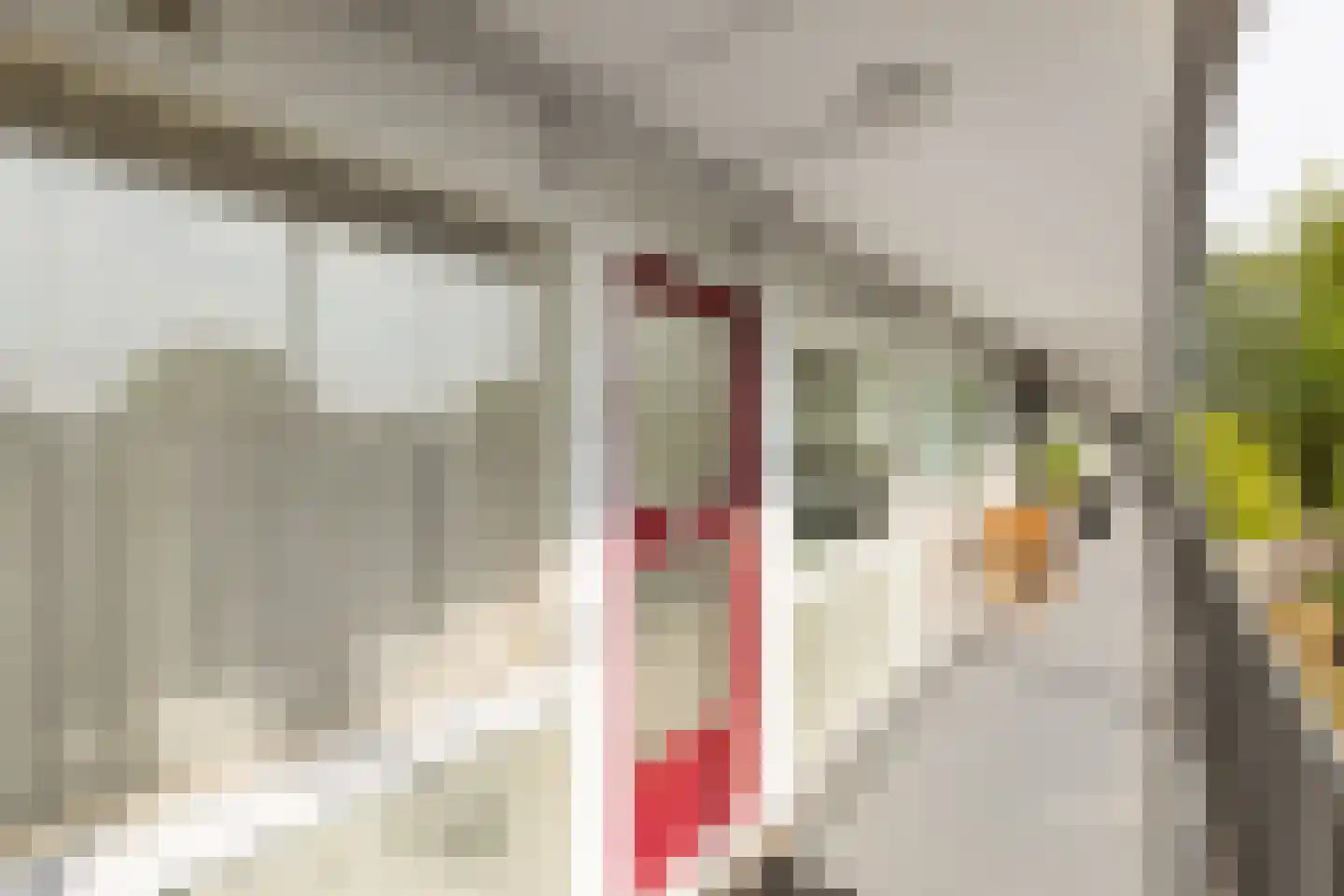Engelandlaan 1276 Haarlem thumbnail 18