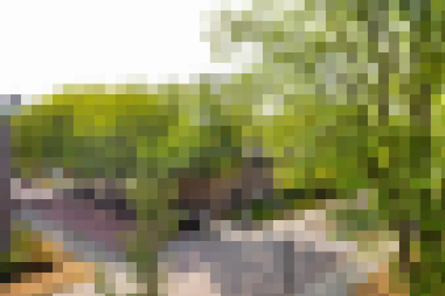 Engelandlaan 1276 Haarlem thumbnail 20