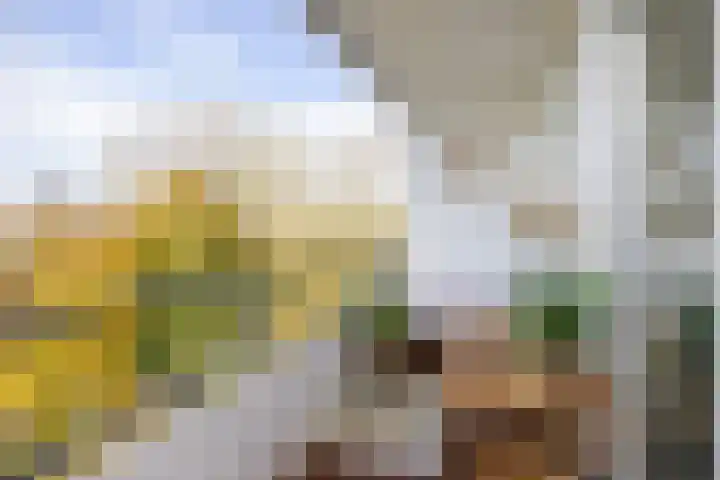 Engelandlaan 152 Haarlem thumbnail 26