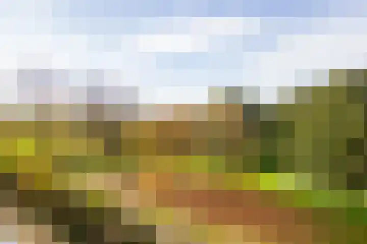 Engelandlaan 152 Haarlem thumbnail 27