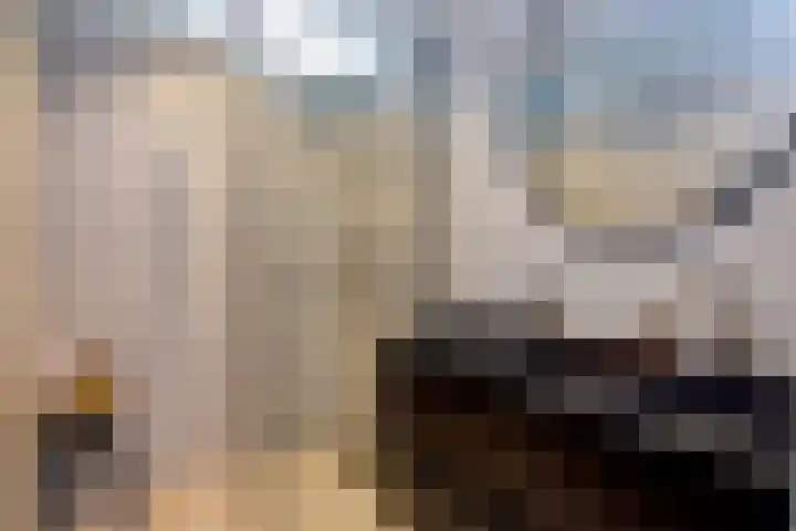 Engelandlaan 152 Haarlem thumbnail 38
