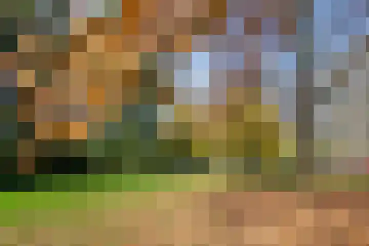 Engelandlaan 152 Haarlem thumbnail 41
