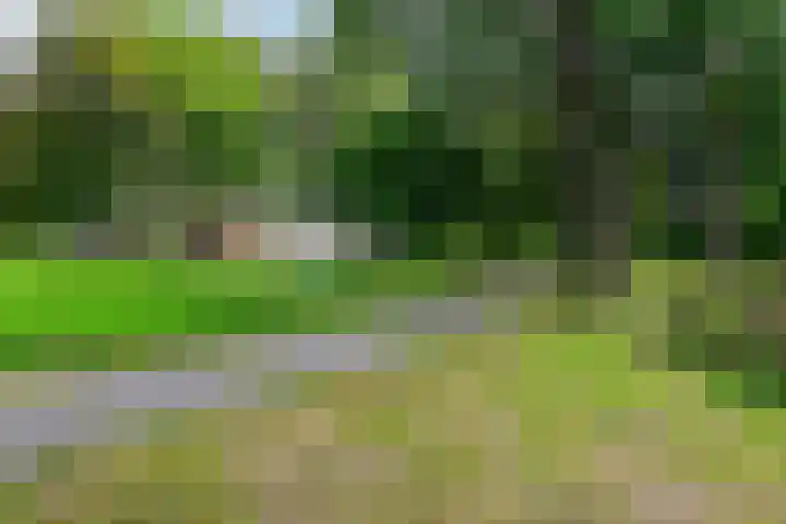 Engelandlaan 158 Haarlem thumbnail 20