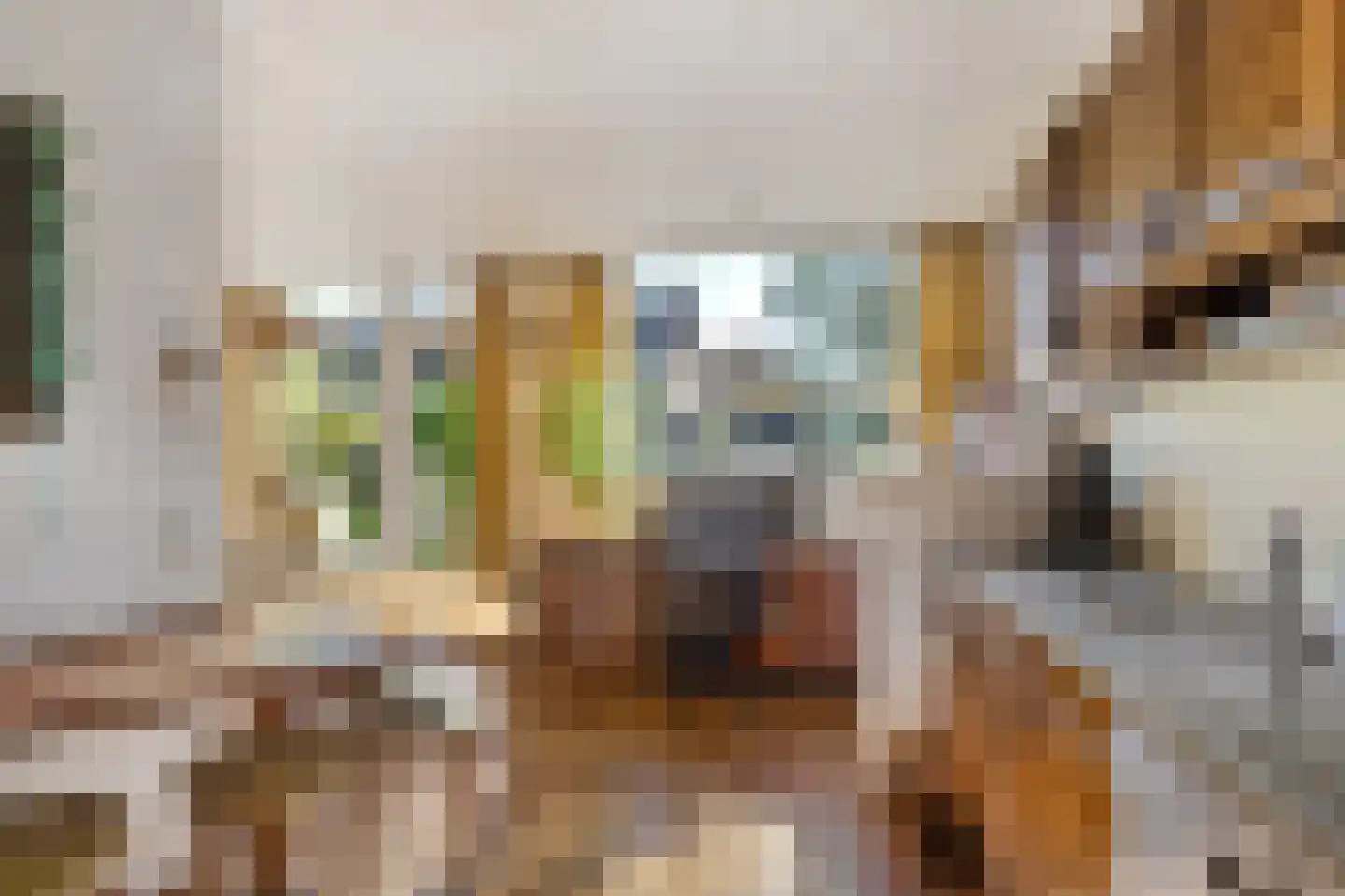Engelandlaan 187 Haarlem thumbnail 10