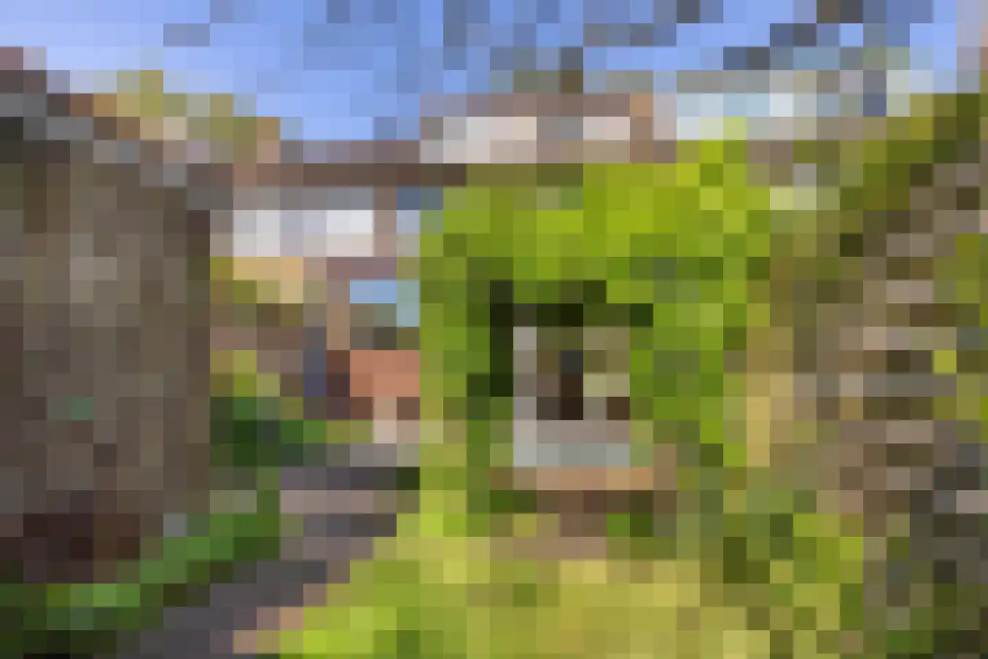 Engelandlaan 187 Haarlem thumbnail 13